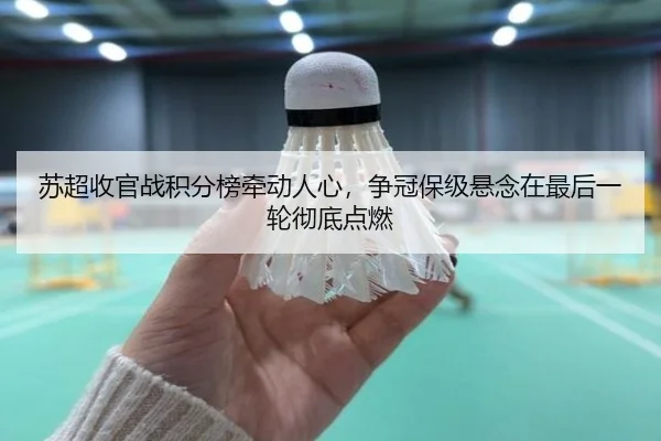 苏超收官战积分榜牵动人心，争冠保级悬念在最后一轮彻底点燃 - huatihui